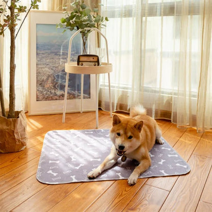 FiutoPad - la traversina lavabile che attira il cane