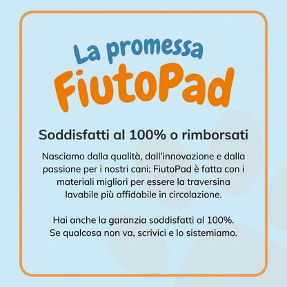 FiutoPad - la traversina lavabile che attira il cane