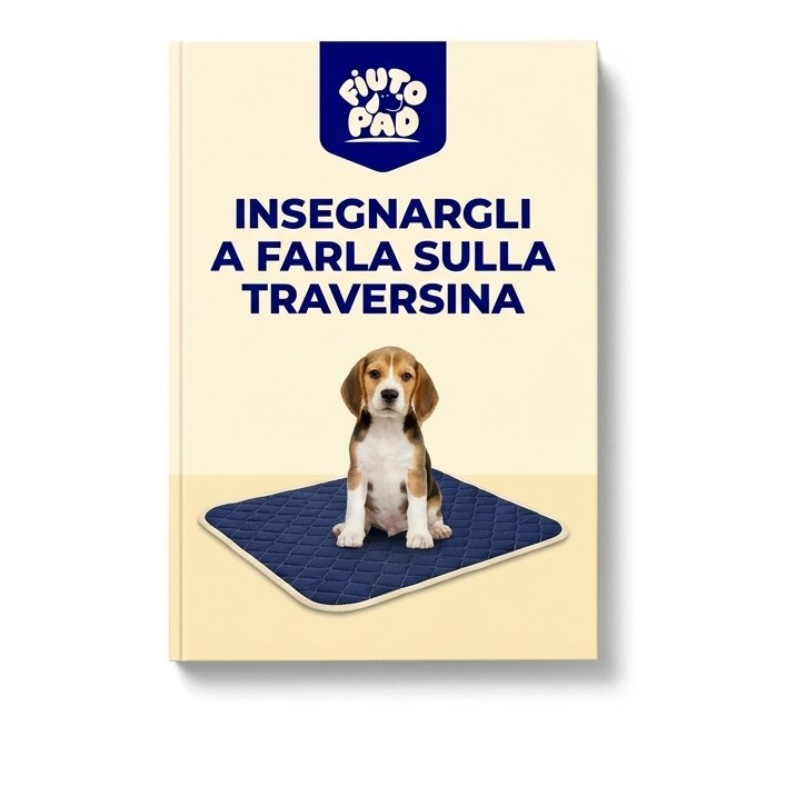 Regalo · Insegnargli a farla sulla traversina
